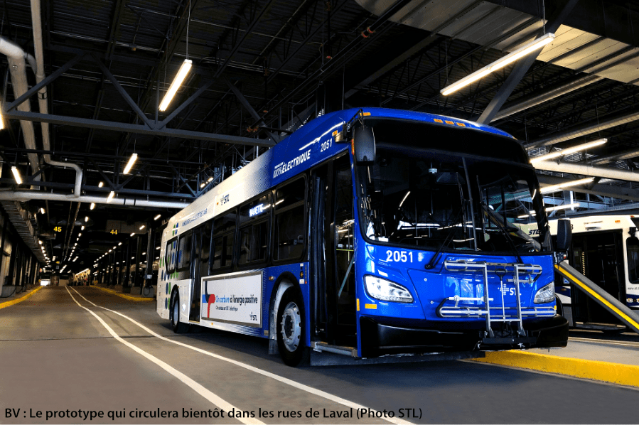 Autobus Électrique STL 2019