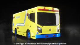 Lion Ambulance